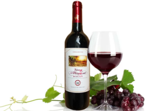 Vang Dalat: A Taste of Vietnamese Wine